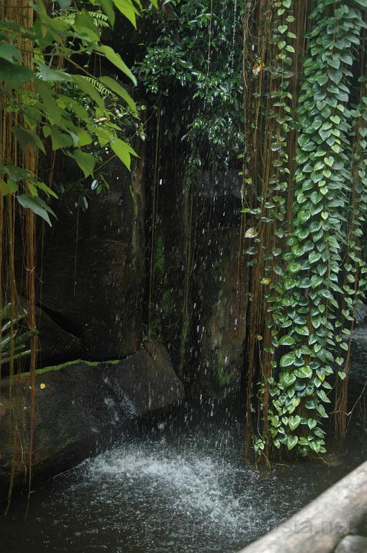 DSC_7219.JPG - photos.gacosta.net