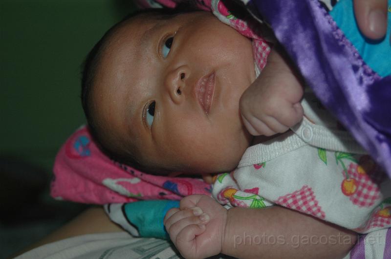 DSC_6217.JPG - photos.gacosta.net