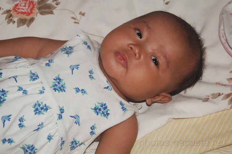 DSC_7059.JPG - photos.gacosta.net