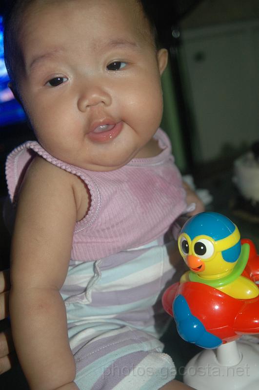 DSC_7661.JPG - photos.gacosta.net