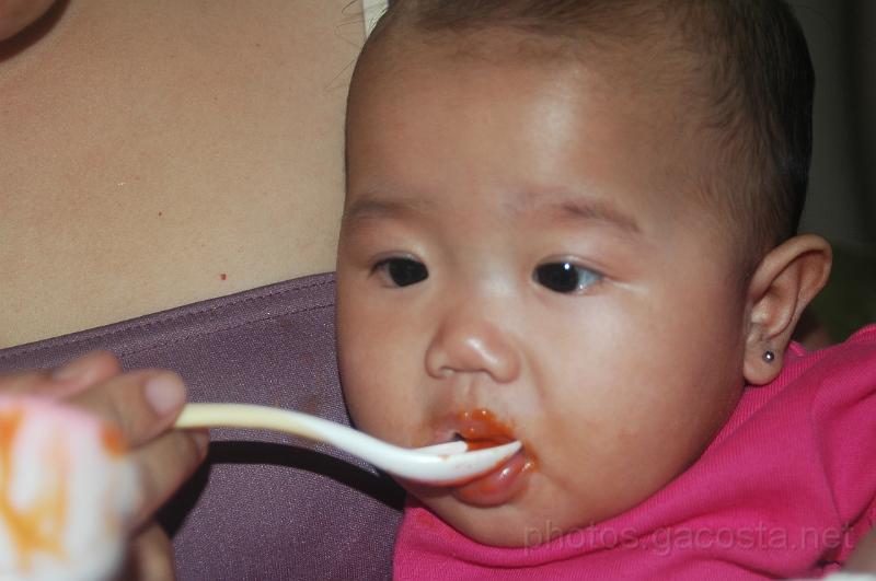 DSC_8110.JPG - photos.gacosta.net