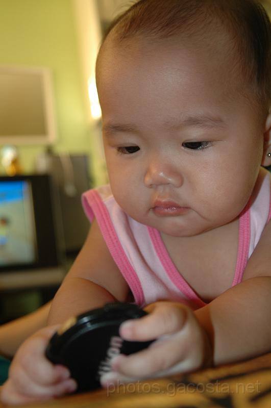 DSC_9419.JPG - photos.gacosta.net