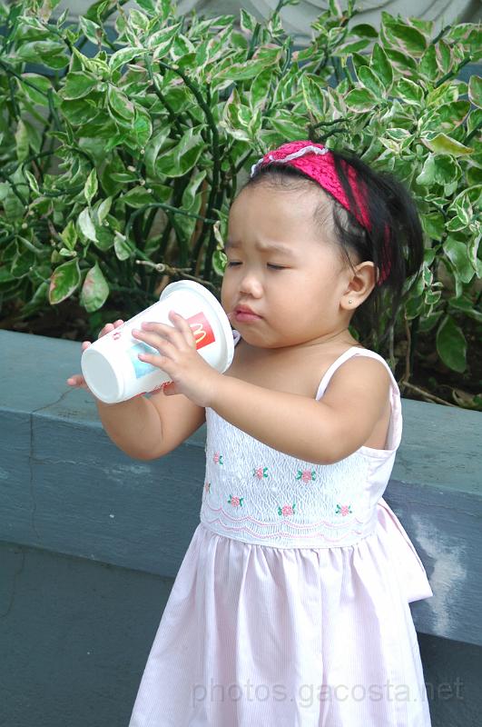 DSC_4019.JPG - photos.gacosta.net