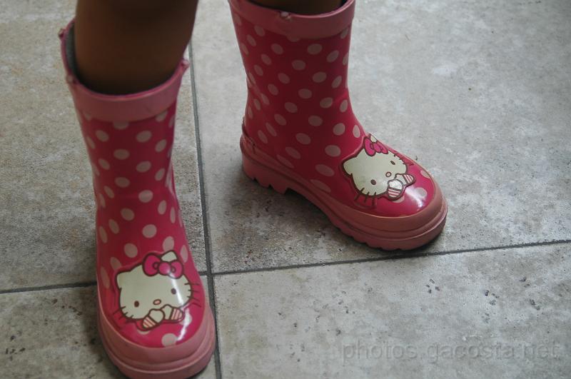 DSC_5367.JPG - photos.gacosta.net