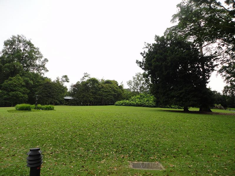 DSC03666.JPG